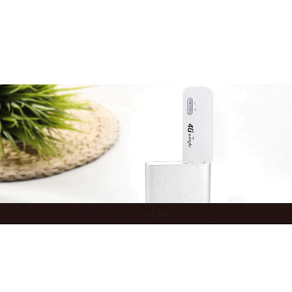 Internet terminal wireless router